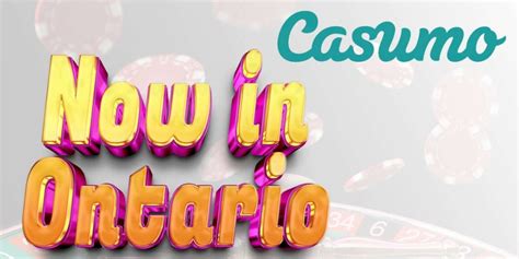 casumo stock price|A Look Into Casumo's Financial Profile .